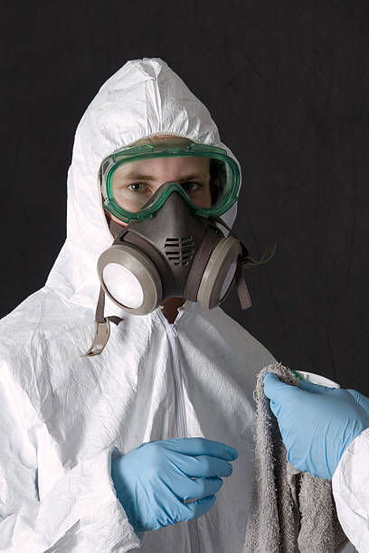 Best Attic Mold Removal  in Burnsville, MN